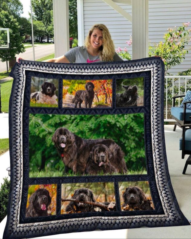 Newfoundland 5 Quilt Blanket Newfoundland 5 Quilt Blanket