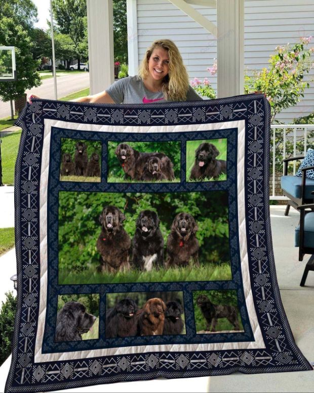Newfoundland Three Black Dog On The Green Grass Quilt Blanket Great Customized Blanket Gifts For Newfoundland Three Black Dog On The Green Grass Quilt Blanket Great Customized Blanket Gifts For