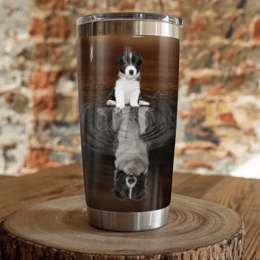 Border Collie Dog Stainless Steel Cup Border Collie Dog Stainless Steel Cup