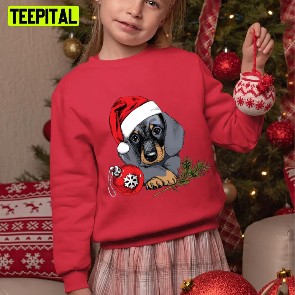 Dachshund Wearing Santa Claus Hat Waiting For Christmas Unisex Sweatshirt Dachshund Wearing Santa Claus Hat Waiting For Christmas Unisex Sweatshirt