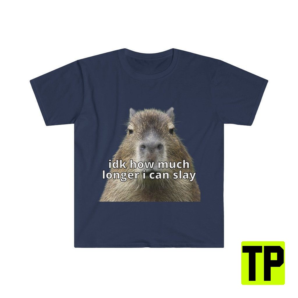 Idk How Much Longer I Can Slay Capybara Meme Unisex Shirt Idk How Much Longer I Can Slay Capybara Meme Unisex Shirt