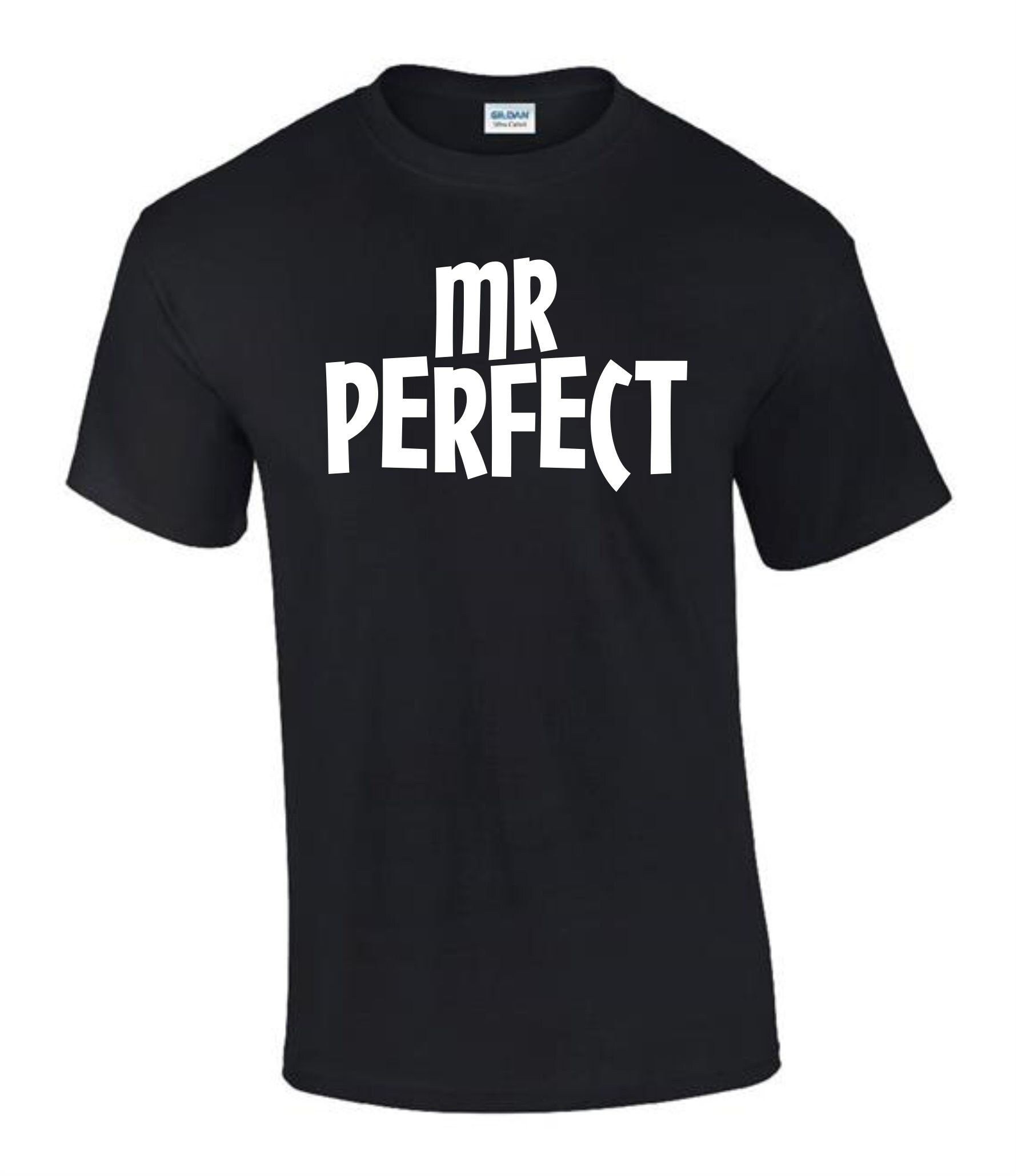 Mr Perfect Gift Idea Funny Rude Men’s Ladys T-Shirt Mr Perfect Gift Idea Funny Rude Men’s Ladys T-Shirt
