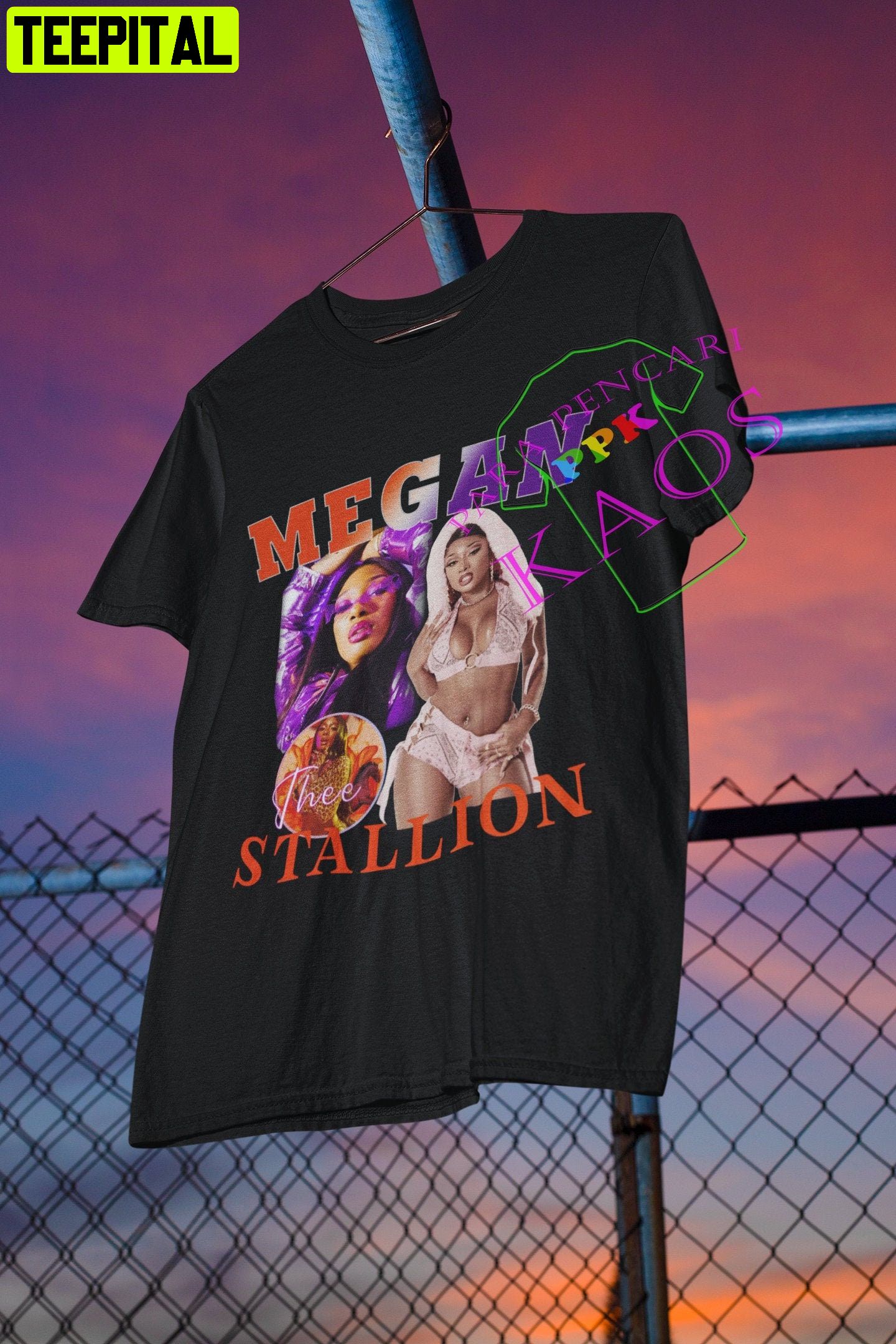 Megan Thee Stallion Retro Design T-Shirt Megan Thee Stallion Retro Design T-Shirt
